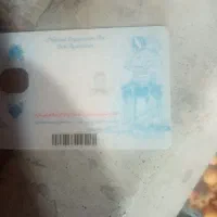 کارت ملی به اسم عبدالله زارع توانا گم شده