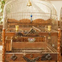قفس پرنده ویترینی سهره و قناری