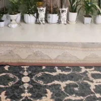 فرش