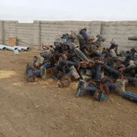 لوله کشاورزی سایز ۱۶۰