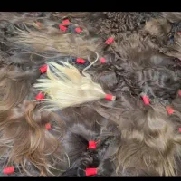 خریدار اصلی موهای طبیعی شما بانوان عزیز هستم