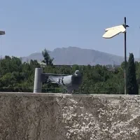 نر سبز کاشان
