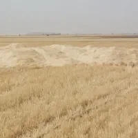 کاه کیسه شده آماده بارگیری