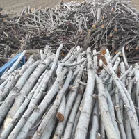 خرید و قطع درخت و چوب