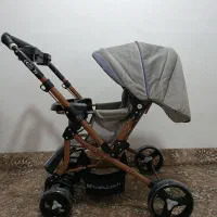 کالسکه دلیجان بدنه برنزه جنس مخمل