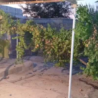 ویلایی-500متری
