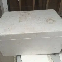 اکاسیف