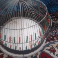 قفس کوچیک سهره گلبسر وجعل
