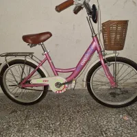 دوچرخه با مارک پل گل سالم و بدون هیچ ایرادی