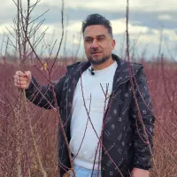 نهالستان گردو و پسته های پیوندی پالیز