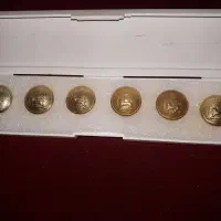 کلکسیونی