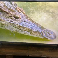 تلوزیون  ۵۵