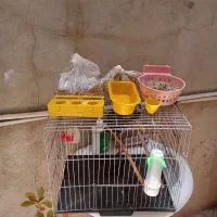 یک قفس درحدنوباوسایلاش