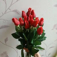 گل رز قرمز