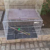قفس 40-60