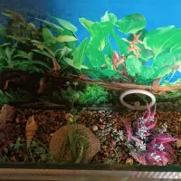 آکواریوم  شیشه ۶میل