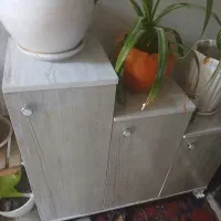 جاکفشی