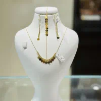 سرویس پولکی