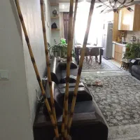 بامبو دکوری