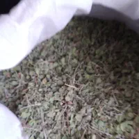 اویشن اعلا درجه یک