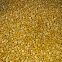 حبوبات عدس نخود لوبیا ماش