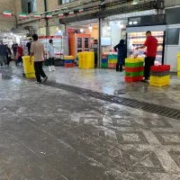 پخش مستقیم قطعات مرغ تازه