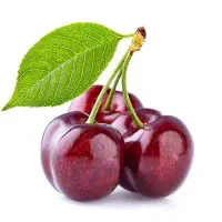 اجاره گیلاس