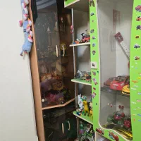 ویترین شیشه ای