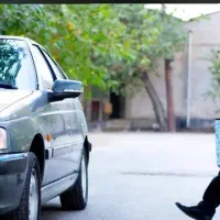 استخدام راننده با خودرو شخصی جهت سرویس کارکنان