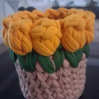 سبد تریکو