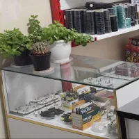 فروش گلدان گل یخ