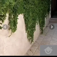 ویلایی-200-متری-عرض-10-پیروزی
