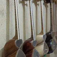 پوست و پرده و سیم تار