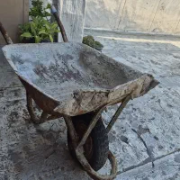 فرغون