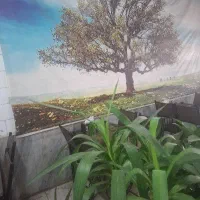 یک نفر کمک آشپز ویک نیروی سالندار رستوران و دورچین