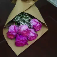 گل رز صورتی