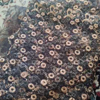 پارچه گیپور  دو قواره