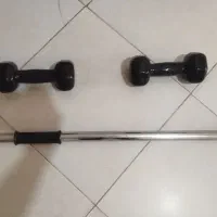 یک جفت دمبل و بارفیکس