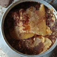عسل کاملا طبیعی