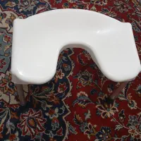 صندلی هم بعنوان توالت فرنگی هم جهت استحمام