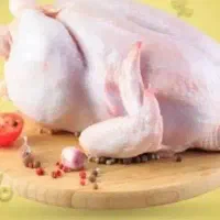 مرغ و ماهی زنده باقیمت مناسب