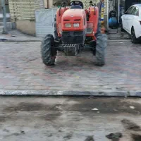 بوجاری هرکس گندم