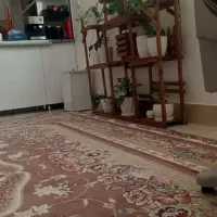 به دنبال کارسرایداری و نگهبانی زن و شوهر بدون بچه.