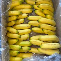 اگهی استخدام صندوق دار خانم