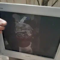 تلویزیون سامسونگ سالم