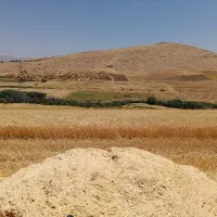 اجاره-زمین-کشاورزی