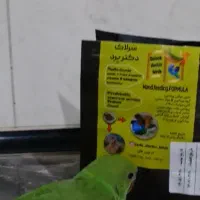 سرلاک طوطی .سهره قناری .ضد ورم روده قارچ چینه دان