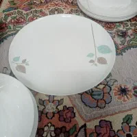 4دست ارکوپال گلدن اپال نو نو تو کارتن