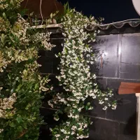 اپارتمان لاکچری ۷۲ متری سهروردی شمالی
