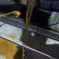 روغن طیوری گالن شده